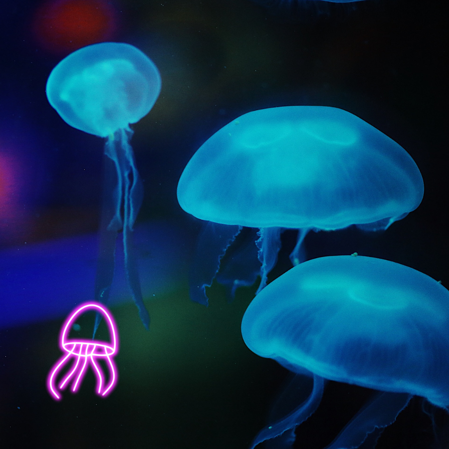 Illustration: FLUORESCENT JELLY FISH