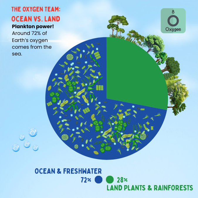 Illustration: oxygen produced by the Ocean