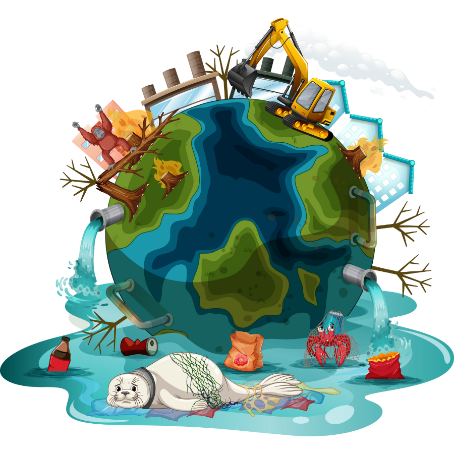 Illustration:  phytoplankton