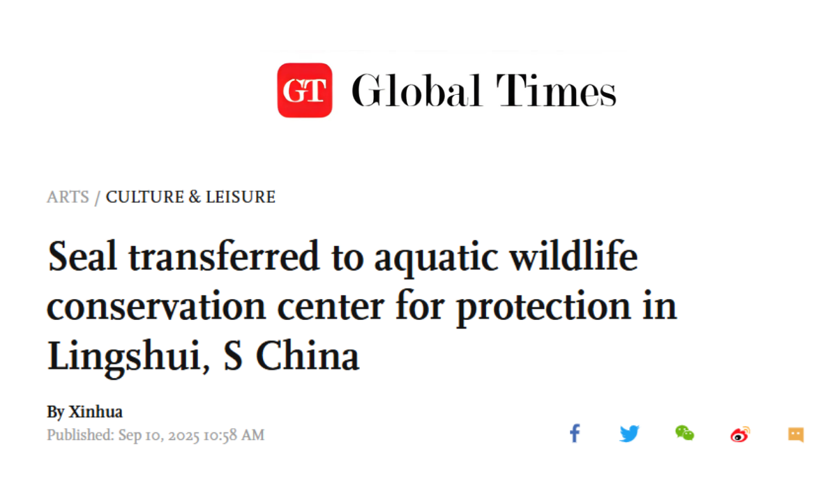 🦭Seal Rescue in China🛟