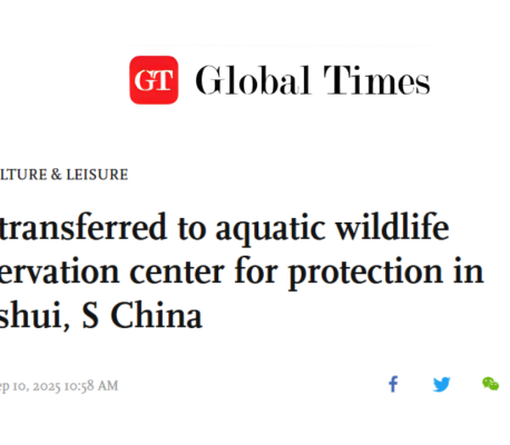 Photo: Global Times Title