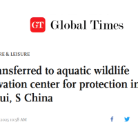 🦭Seal Rescue in China🛟