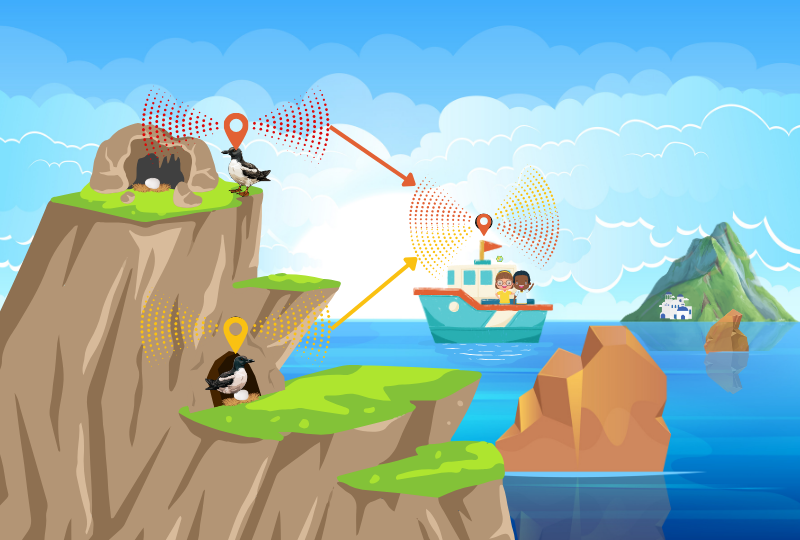 🪁Fly along with the shearwaters!🪁