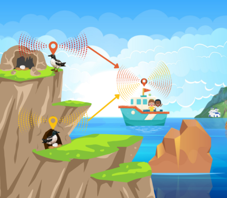 🪁Fly along with the shearwaters!🪁