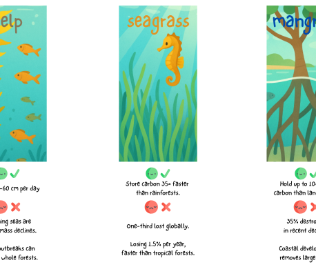 SCOREBOARD OF MARINE HABITAT: KELP, SEAGRASS, MANGROVE