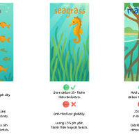 🌊The Ocean's Secret Super-Forests! 🌳