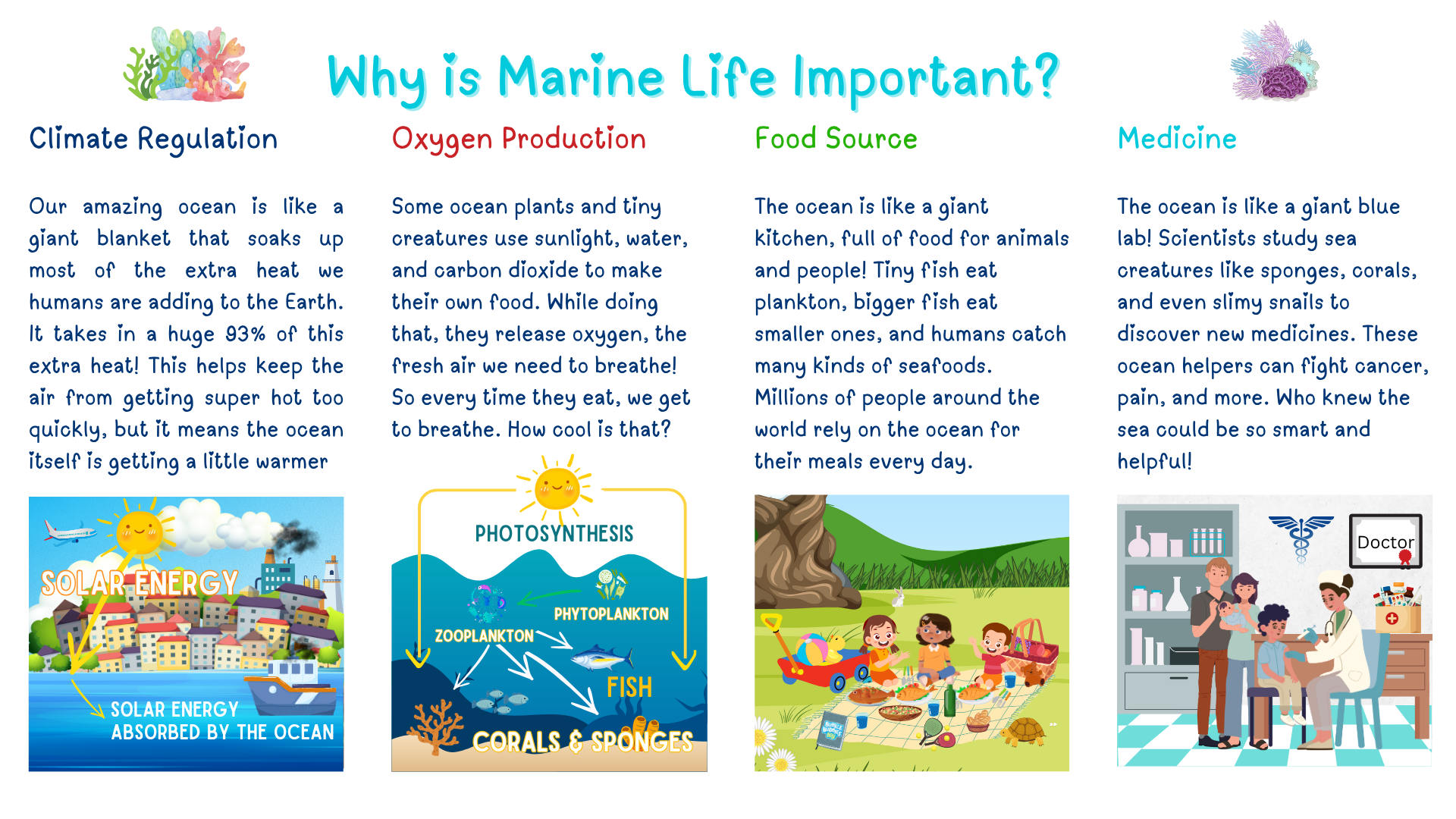 Infographic: Why is Marine Life Important?