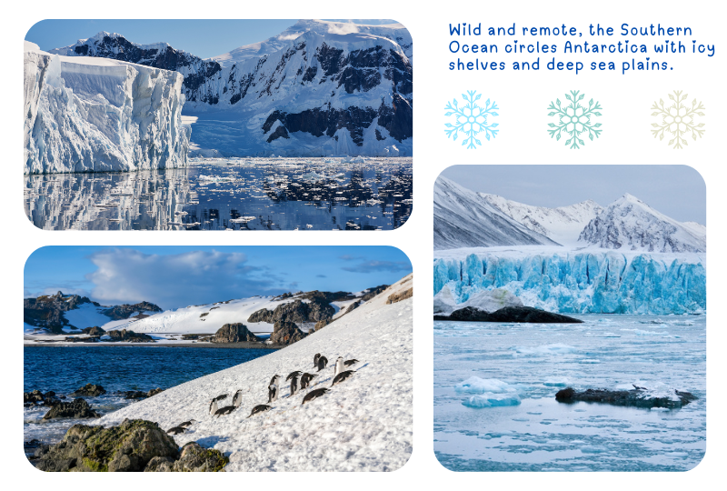 Photo:  Southern Ocean