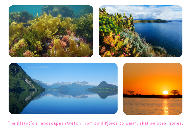 Photo: Atlantic Ocean