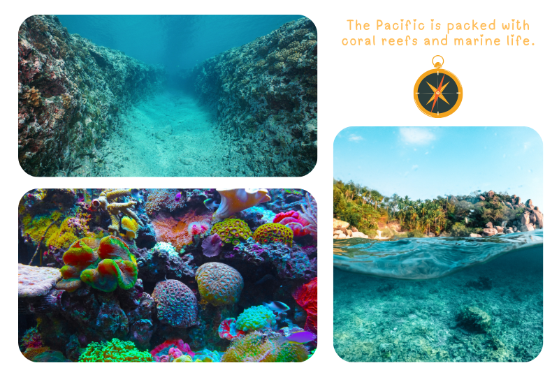 Photo: Pacific Ocean