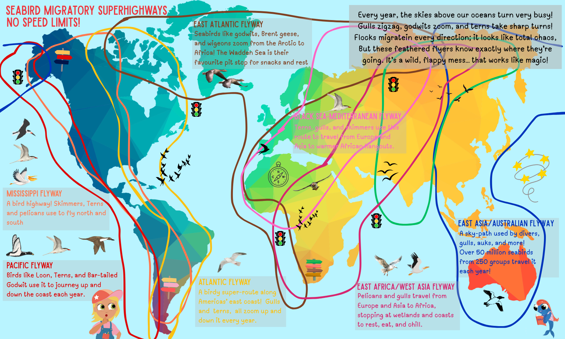 Infographic: Seabirds Migration Flyways