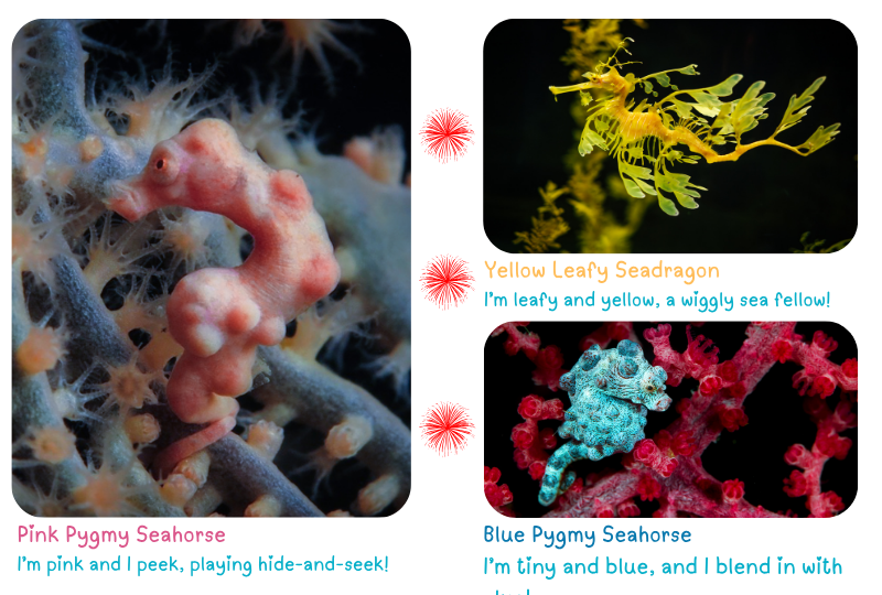 Photo: Colourful Seahorses