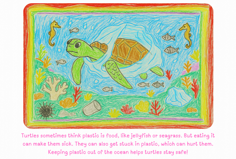 Blog turtle ChildTurtleDrawing