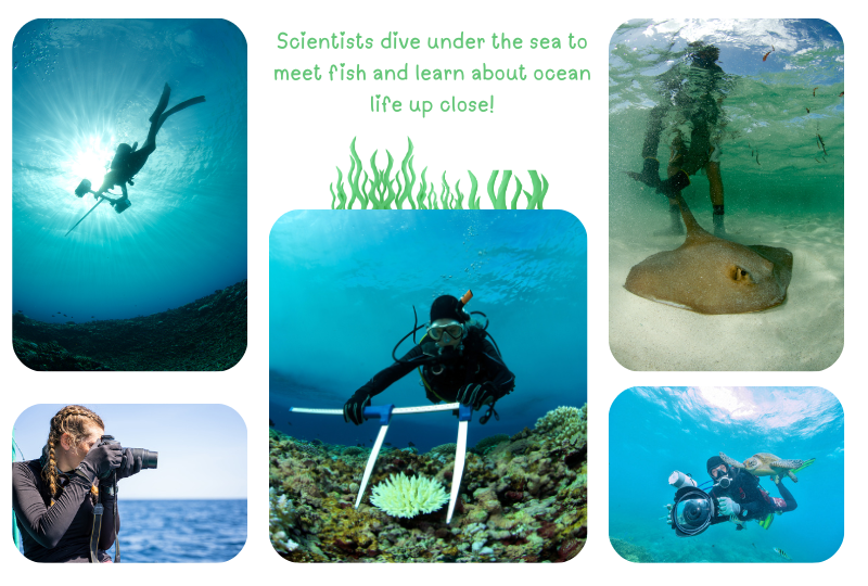 Photo: Oceanographers