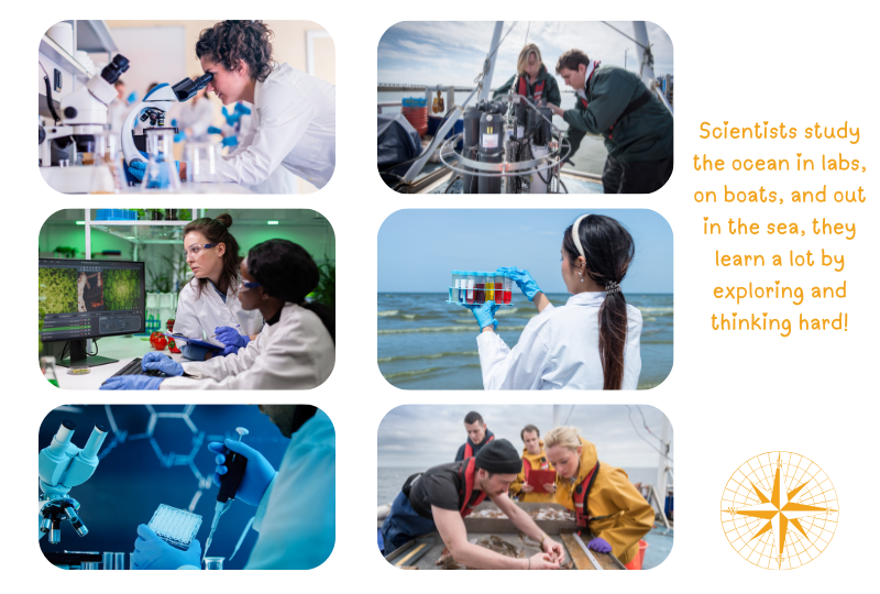 Photo: Marine Biologists