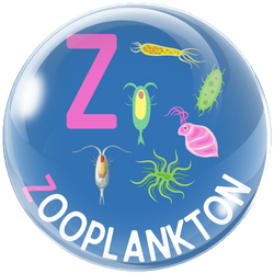 Illustration: Bubble with Z