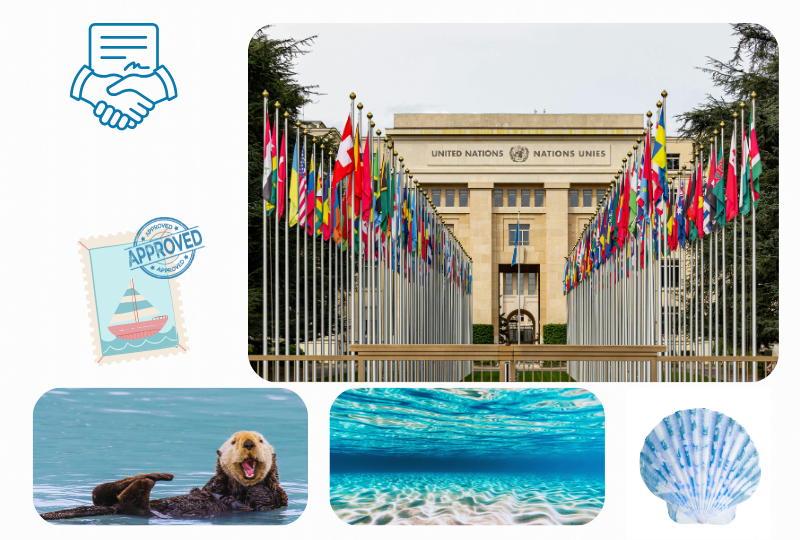 Image: United nation building, Otter, clean water 