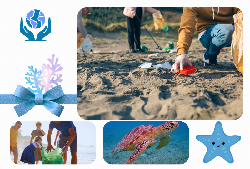 Images: A group people cleaning the beach anmd a sea turtle.
