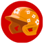 IconProtect4